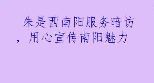  朱是西南阳服务暗访，用心宣传南阳魅力