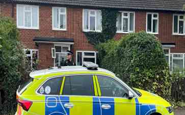 英国恶性狗咬致人死亡 苏纳克首相紧急宣布禁狗令!