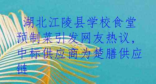  湖北江陵县学校食堂预制菜引发网友热议,中标供应商为楚膳供应链