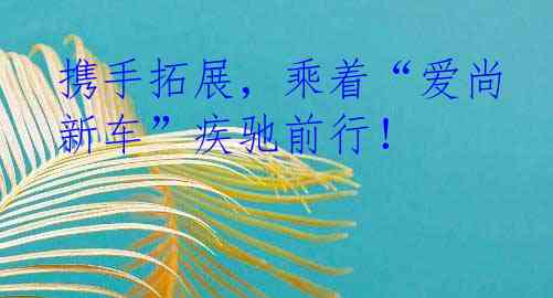 携手拓展，乘着“爱尚新车”疾驰前行！