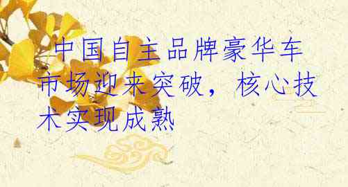  中国自主品牌豪华车市场迎来突破，核心技术实现成熟