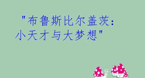  "布鲁斯比尔盖茨：小天才与大梦想"