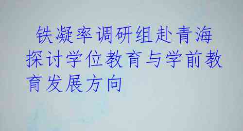  铁凝率调研组赴青海探讨学位教育与学前教育发展方向