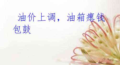  油价上调，油箱瘪钱包鼓