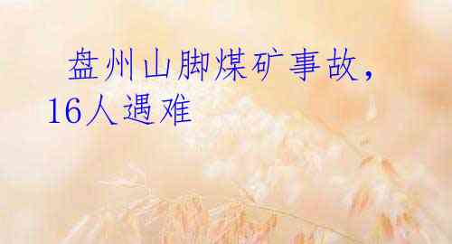  盘州山脚煤矿事故，16人遇难