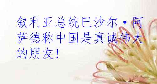 叙利亚总统巴沙尔·阿萨德称中国是真诚伟大的朋友!