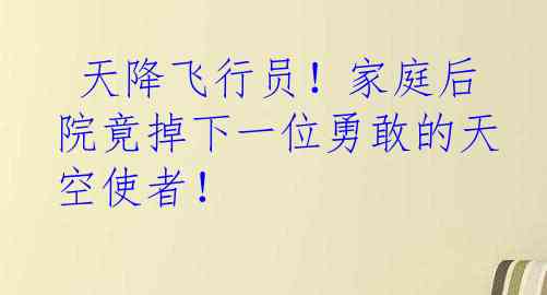  天降飞行员！家庭后院竟掉下一位勇敢的天空使者！