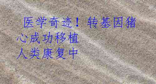  医学奇迹！转基因猪心成功移植 人类康复中