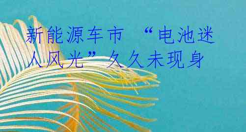 新能源车市 “电池迷人风光”久久未现身