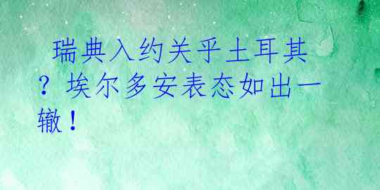  瑞典入约关乎土耳其？埃尔多安表态如出一辙！