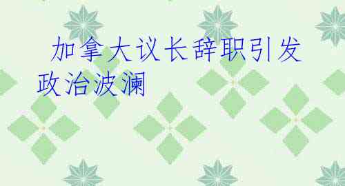  加拿大议长辞职引发政治波澜