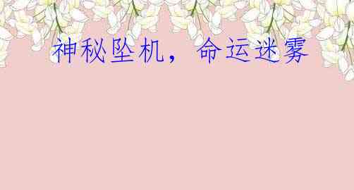  神秘坠机，命运迷雾