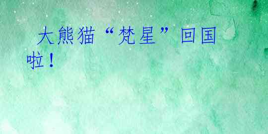  大熊猫“梵星”回国啦！