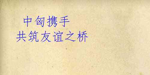 中匈携手 共筑友谊之桥