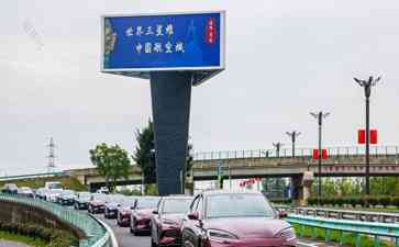 比亚迪再度夺冠，混动技术引领新能源汽车市场
