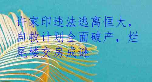 许家印违法逃离恒大，自救计划全面破产，烂尾楼交房成谜