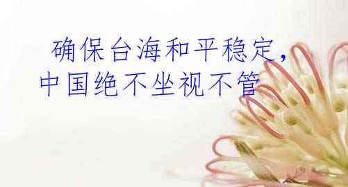  确保台海和平稳定，中国绝不坐视不管