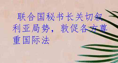  联合国秘书长关切叙利亚局势，敦促各方尊重国际法
