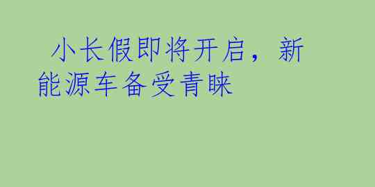  小长假即将开启，新能源车备受青睐