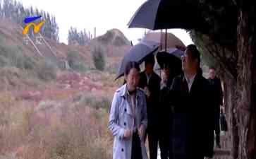  宁夏梁言顺书记亲自调研,督察荒漠化治理情况!