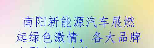  南阳新能源汽车展燃起绿色激情，各大品牌齐聚争奇斗艳