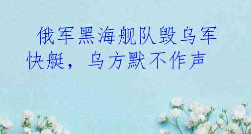  俄军黑海舰队毁乌军快艇，乌方默不作声