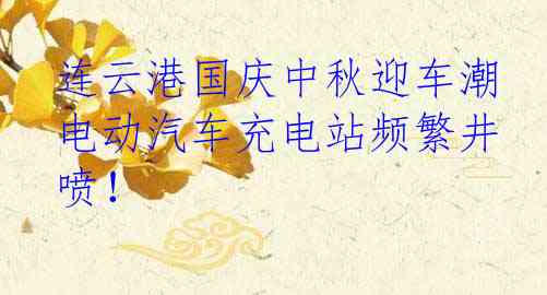  连云港国庆中秋迎车潮 电动汽车充电站频繁井喷！