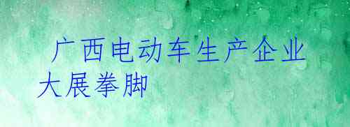  广西电动车生产企业大展拳脚