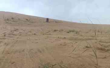  腾格里沙漠植被频遭碾压，治沙成果付之一炬