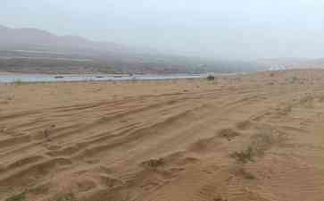  腾格里沙漠植被频遭碾压，治沙成果付之一炬