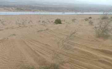  腾格里沙漠植被频遭碾压，治沙成果付之一炬