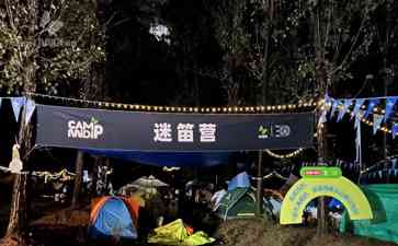 南阳迷笛音乐节遭洗劫 盗贼车轮战受害乐迷