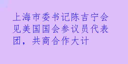 上海市委书记陈吉宁会见美国国会参议员代表团，共商合作大计