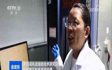  芯片力挺，新能源“气”势如破竹！