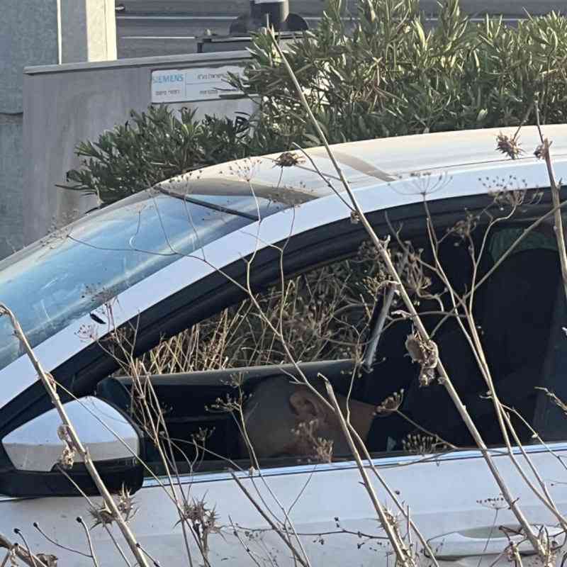 巴以冲突之际，中国工友遭袭