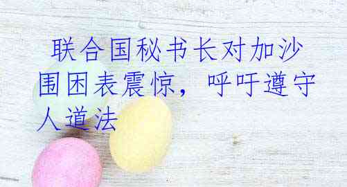  联合国秘书长对加沙围困表震惊，呼吁遵守人道法