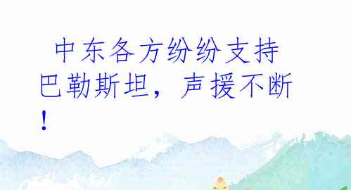  中东各方纷纷支持巴勒斯坦，声援不断！