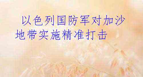  以色列国防军对加沙地带实施精准打击