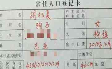  户口本上填写狗信息，引发热议！