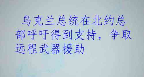  乌克兰总统在北约总部呼吁得到支持，争取远程武器援助