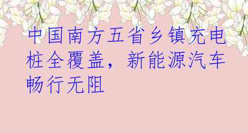中国南方五省乡镇充电桩全覆盖，新能源汽车畅行无阻