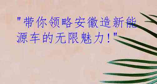 "带你领略安徽造新能源车的无限魅力!"