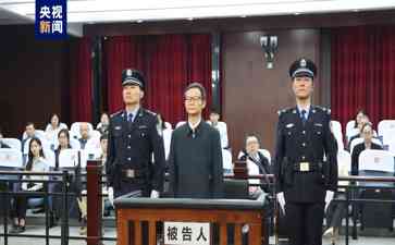  四川省人大常委会原党组副书记王铭晖一审受贿案公开开庭审理，官方检控指控曝光！