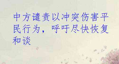 中方谴责以冲突伤害平民行为，呼吁尽快恢复和谈