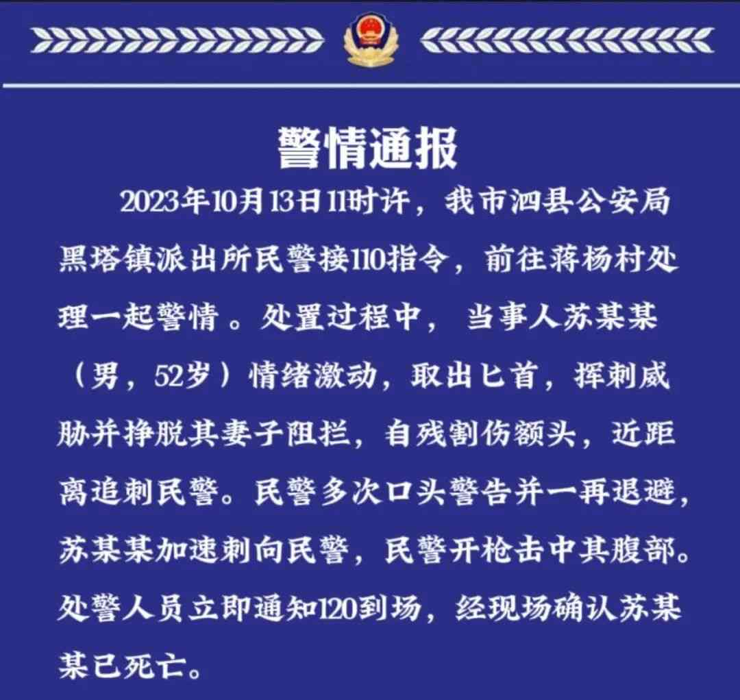 刺警追凶