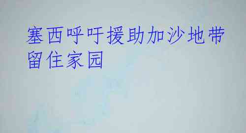 塞西呼吁援助加沙地带 留住家园