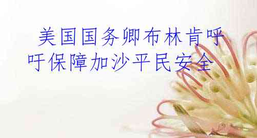  美国国务卿布林肯呼吁保障加沙平民安全