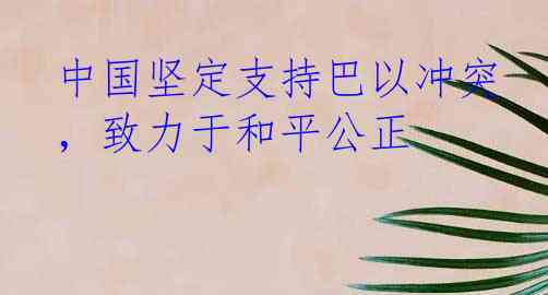 中国坚定支持巴以冲突，致力于和平公正