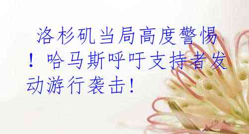  洛杉矶当局高度警惕！哈马斯呼吁支持者发动游行袭击!