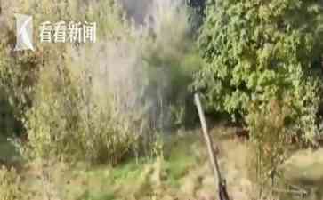  高压下的俄乌冲突：战火猛烈，防空警报鸣响